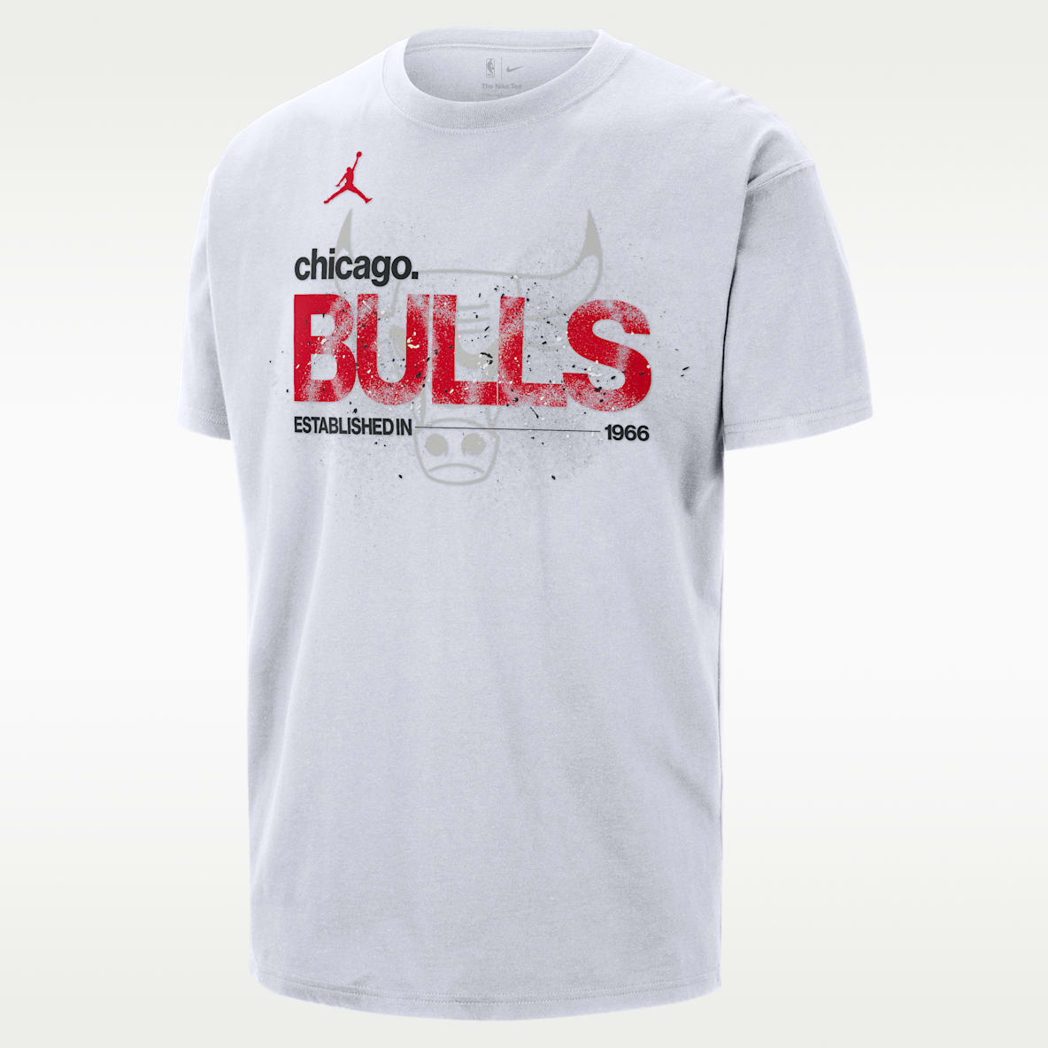 Chicago Bulls. Nike PT